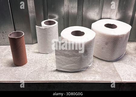 Assorted toilet paper rolls and an empty cardboard tube arranged on a tiled surface in a bathroom setting. Stock Photo
