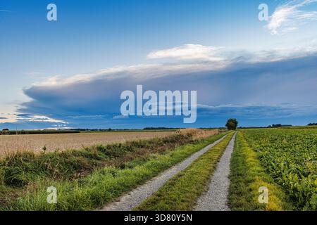 thunderstorm approaching over fields, Germany, Bavaria, Erdinger Moos Stock Photo