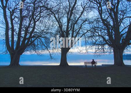 Man sitting on a bench by Lake Constance in winter in the evening, Germany, Bavaria, Lindau Stock Photo