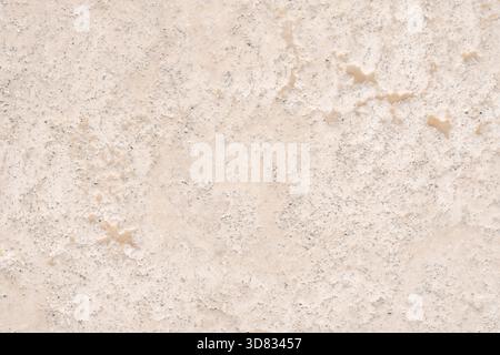 Seamless background texture of light beige natural stone, resembling travertine or limestone. Features an uneven, porous surface, ideal for architectu Stock Photo