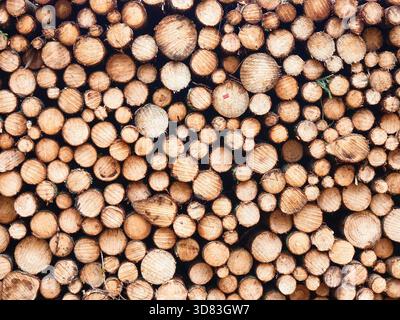 Full Frame Background Texture of Stacked Cut Wooden Logs Stock Photo