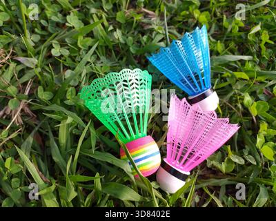 Colorful shuttlecocks on lush green grass, suggesting outdoor fun and healthy activity. Perfect for sports, recreation, or childhood themes. Bright, p Stock Photo