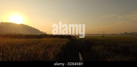 Landscape of mountains and rice fields in the morning and sunrise Stock Photo