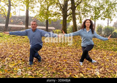 Mature couple performing tai chi exercises for wellness in an autumnal public park Stock Photo