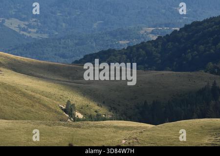 Rolling green hills stretch across the landscape, illuminated by soft late afternoon sunlight. The peaceful scene captures the essence of nature in a Stock Photo