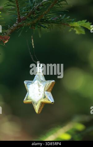A silver star hanging from a tree branch Stock Photo