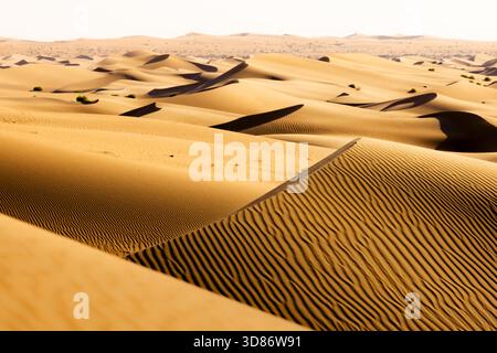 View of endless golden sand dunes stretch across the arid landscape, creating a mesmerizing pattern of light and shadow in Rub' al-Khali, United Arab Stock Photo