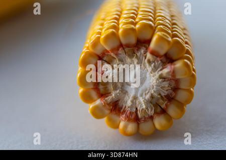 Close-up of the textured, cut end of a corn on the cob, revealing the internal structure of the white cob and the surrounding rows of shiny, plump yel Stock Photo