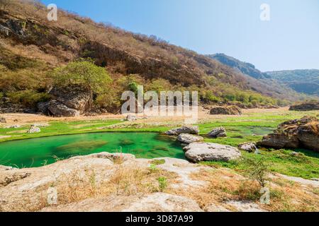 Wadi Darbat in Dhofar, Oman: calm turquoise pool reflecting green trees and rugged mountains beneath a vivid blue sky, a serene desert oasis and Stock Photo