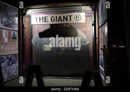 New Zealand Rotorua Giant Tree Cross Section Night Exhibit 28.11.2025 Stock Photo