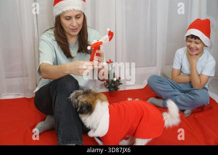 A happy mother and son in Santa hats play with their pet dog on a red blanket. The boy laughs joyfully. Candid, festive scene celebrating Christmas at Stock Photo