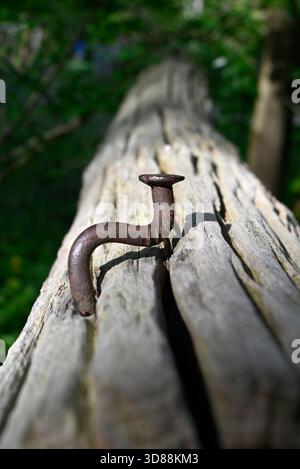 Twisted Nail in wooden log, Hamburg, Germany Stock Photo