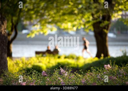 Blooming lilac in the park against people having time sitting and running Stock Photo