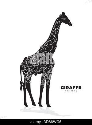 A  giraffe standing, isolated on white background. Stock Vector