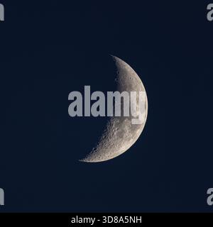 Clear view of a half moon during blue hour, glowing against the deep blue evening sky. Stock Photo
