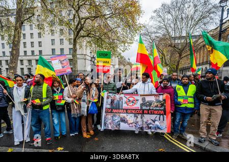 London, UK. 29th Nov, 2025. Stop Amhara Genocide in Ethiopia protest outside downing street in Whitehall, London. Credit: Guy Bell/Alamy Live News Stock Photo