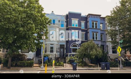 Washington D.C., USA, May 24, 2025. Blue and light-painted rowhouses stand behind tall leafy trees in a quiet D.C. neighborhood. Stock Photo