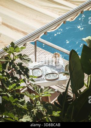 Elegant dining table set under a canopy on a seaside terrace in Nice, France, surrounded by lush greenery and overlooking the sparkling blue Mediterra Stock Photo
