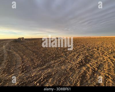 Vast plowed or barren agricultural field with tire tracks under a dramatic cloudy sky at golden hour. Stock Photo