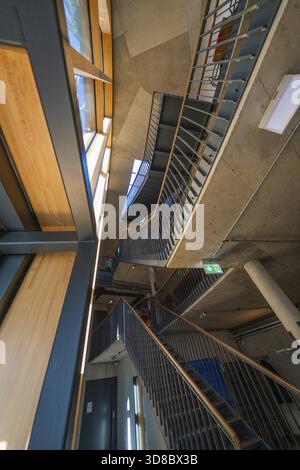 Innovative staircase with concrete walls and wood detailing, Amazonia exhibition, Gasometer, Pforzheim, Germany Stock Photo