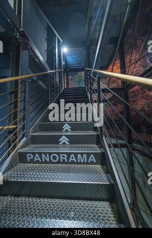 Metal staircase with the inscription 'PANORAMA' leading up to a blue light zone, Amazonia exhibition, Gasometer, Pforzheim, Germany Stock Photo