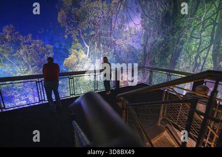 People look at an impressive forest landscape from an illuminated balcony, Amazonia exhibition, Gasometer, Pforzheim, Germany Stock Photo