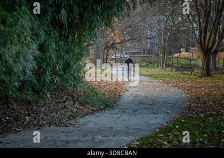 Walking in the park on a winter day Stock Photo