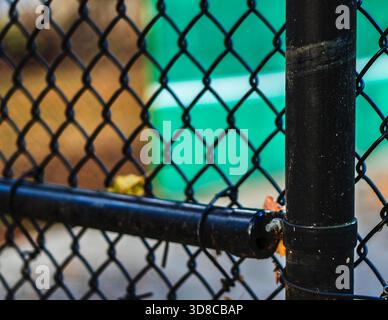 A green wall on the other side of the fence Stock Photo