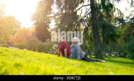 Senior couple practicing yoga together in a park Stock Photo