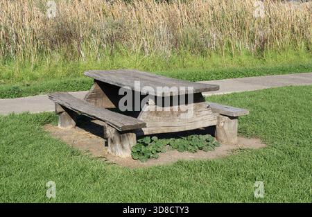 Wooden picnic table amongst lush green grass in a park Stock Photo