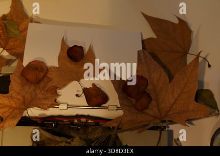 dried maple leaves on vintage paper arranged with shriveled rosebuds and acorns on wooden table, warm amber lighting casting soft Stock Photo