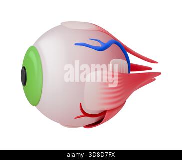 A 3D rendering of a surreal hybrid creature with an eyeball for a body, featuring vibrant colors and imaginative details. The design blends fantasy an Stock Vector