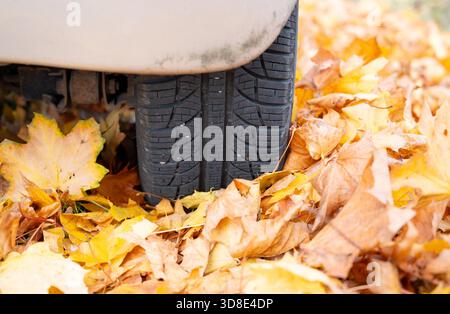 Car tires on autumn foliage covered road, autumnal weather, slippery street, dangerous to drive, colorful leaf, change of season Stock Photo