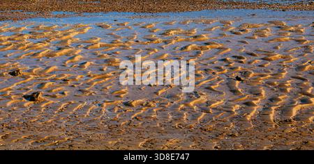 Golden wet Sand texture as natural background banner. Close up sandy pattern from sea waves, light pastel color, minimal nature backdrop, beautiful be Stock Photo