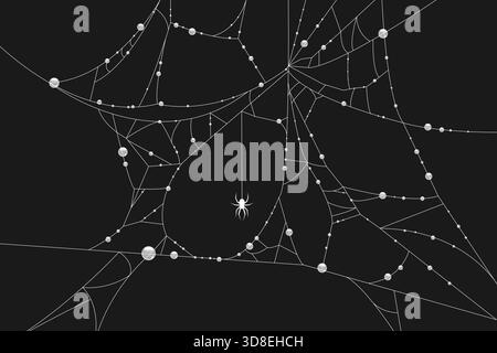 Black background with a hand drawn white spider web decorated with water drops and a spider. Vector illustration. Stock Vector