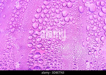 Abstract background featuring a macro view of water droplets on a violet surface, creating a natural pattern of moisture and condensation. Stock Photo