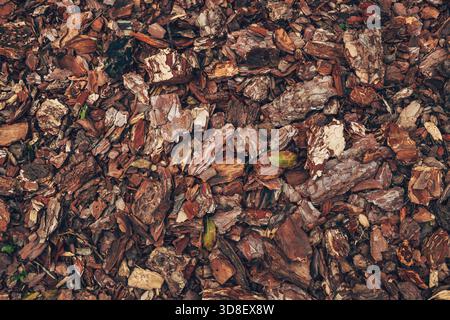 Detailed surface of mixed wood bark mulch in warm natural colors, featuring rugged organic pieces ideal for texture backgrounds, gardening themes, and Stock Photo
