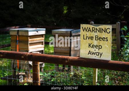 Warning sign "Live bees keep away" during summer, England, UK Stock Photo