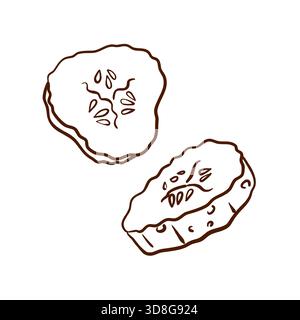 Two cucumber slices. Vector illustration in a contour line style. Clean brown lines, defined seeds and peel texture, isolated on a white background. Stock Vector