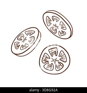 Three round tomato slices. Vector illustration in a line art style. Clean brown lines, defined seeds and flesh structure Stock Vector