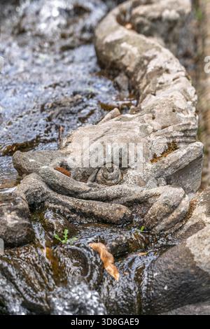 Italy - Caprarola - Palazzo Farnese - Vertical close up of a stone dolphin mask on the water chain fountain Stock Photo