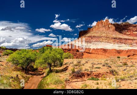 Sulphur Creek flows past green trees below The Castle rock formation in Capitol Reef National Park. Red sandstone cliffs rise under a deep blue sky with clouds Stock Photo