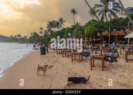 People on the public town beach in Mirissa, Sri Lanka in the late afternoon Stock Photo