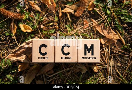 Climate Change Mitigation (CCM) letters spelling out a major environmental concept using wooden blocks on natural ground Stock Photo