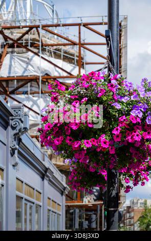 London - 01 07 2022: Flower pot hanging from a lamppost in Queensway Stock Photo