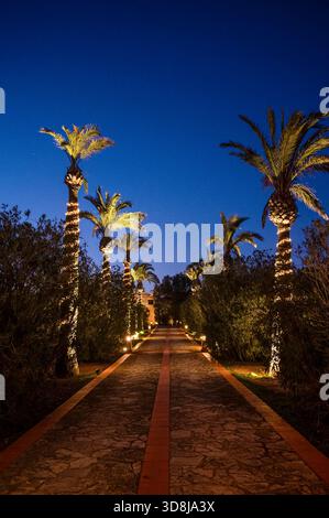 Mallorca at Christmas, Christmas palms illuminated at night. Stock Photo