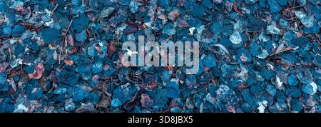 Fallen autumnal foliage creates a natural texture and pattern on the forest floor, featuring a moody blue color palette with hints of brown and gold, Stock Photo