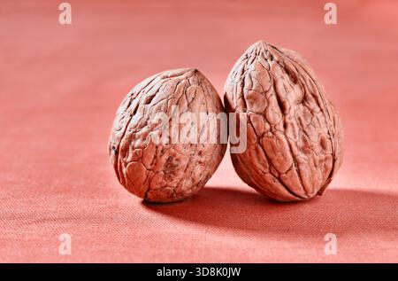 Two whole walnuts ready  to be served  ,edible fruit eaten  raw , toasted or as ingredient of a dish Stock Photo