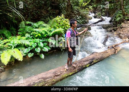 Local guide crossing the river on a tree trunk in the tropical rainforest, trail to the Matayangu Waterfalls, sumba island, indonesia Stock Photo