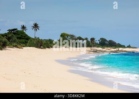 Spectacular white sandy Marosi beach on the southern coastline of Sumba island in Indonesia, secluded beach, turquoise water, coral reef, palm trees Stock Photo